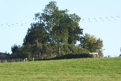 Thruxton Court